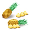 Bright realistic pineapple with slices, pieces isolated on white