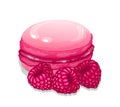 Bright vector realistic raspberry macaron. Royalty Free Stock Photo