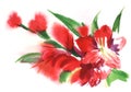 Bright red abstract gladiolus flowers on a green stem. Blurry blots of buds. Hand drawn watercolor illustration. The decorative Royalty Free Stock Photo