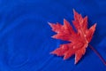 Bright Red Autumn Leaf Over Blue Water Royalty Free Stock Photo