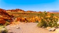 Aztec sandstone rock formations in the Valley of Fire State Park in Nevada, USA Royalty Free Stock Photo