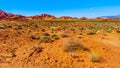 Red Aztec sandstone rock formations in the Valley of Fire State Park, Nevada,USA Royalty Free Stock Photo