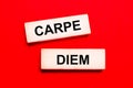 On a bright red background, there are two light wooden blocks with the text CARPE DIEM Royalty Free Stock Photo