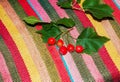 Bright red berries of the hawthorn CRATAEGUS TOURN. EX L, growing naturally. They are used in herbal medicine for ailments as well