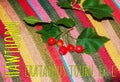 Bright red berries of the hawthorn CRATAEGUS TOURN. EX L, growing naturally. They are used in herbal medicine for ailments as well Royalty Free Stock Photo