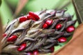 Bright Red Berries Southern Magnolia grandiflora Seed Pod Royalty Free Stock Photo