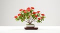 Bright Red Bonsai Tree On Wooden Frame: Intricate Floral Arrangement Royalty Free Stock Photo