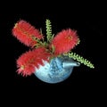 Bright Red Bottlebrush Bouquet Royalty Free Stock Photo