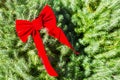 The bright red bow is on the tree. Royalty Free Stock Photo