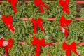 Bright Red Bows on Christmas Wreathes