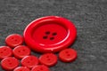 Bright red buttons. Gray fabric. Blurred background. The concept of the clothing industry and decor Royalty Free Stock Photo