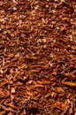 Bright red cedar wood chip garden mulch Royalty Free Stock Photo