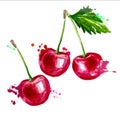 Bright red cherries on a white background, watercolor.