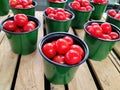 Cherry Tomatoes in Green Cup Royalty Free Stock Photo