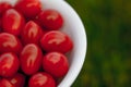 Bright red cherry tomatoes in a white bowl on a green lawn.