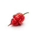 Its extreme spiciness, this type of pepper is often used in hot Royalty Free Stock Photo