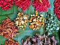 Chilis, eggplants, and galangal at a market in Luang Namtha, Laos