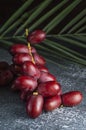 Bright red dates, sweet, crisp, tropical fruit.