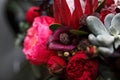 Bright red designer bouquet of peony, roses, succulents, Calla lilies close-up. Bride`s bouquet, wedding accessory. Floral backgro Royalty Free Stock Photo