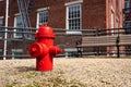 A bright red fire hydrant Royalty Free Stock Photo