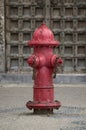 Bright Red Fire Hydrant