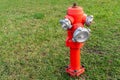 Red fire hydrant stands on a green lawn Royalty Free Stock Photo