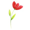 Bright Red Flower Clip Art.