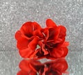 Fine Art Bright Red flowers on a mirror on a silver ;luminous bokeh background with photographic effects