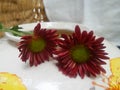 Bright red flowers on white Chaina vase