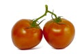 Bright red fresh tomatoes Royalty Free Stock Photo