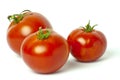 Bright red fresh tomatoes Royalty Free Stock Photo