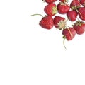 Bright red fresh vitaminous strawberry berry Royalty Free Stock Photo