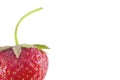 Bright red fresh vitaminous strawberry