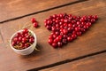 Bright red freshly picked early sweet cherries Royalty Free Stock Photo