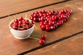 Bright red freshly picked early sweet cherries Royalty Free Stock Photo