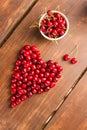 Bright red freshly picked early sweet cherries Royalty Free Stock Photo