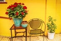 Bright red geranium and other plants and outside metal furniture sitting on patio in front of concrete block wall painted bright