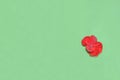 bright red hibiscus flower in the lower right corner on a green background, space for text