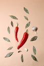Bright red fresh hot chili peppers, bay leaves, garlic cloves on pink background; space for text Royalty Free Stock Photo