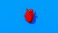 Bright Red Human Heart Design Vivid Blue Background Medical Anatomical Model