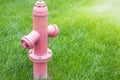 Bright red isolated fire hydrant sits in a freshly Royalty Free Stock Photo