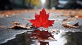 Bright Red Leaf in Autumn Puddle on Asphalt AI Generated