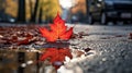 Bright Red Leaf in Autumn Puddle on Asphalt Road AI Generated