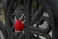 Bright red locked padlock in the shape of a heart on a black old railing of the bridge, love symbol