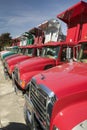 Bright red Mack dump trucks line the road in a row, in Maine near the New Hampshire border