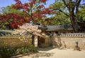 Bright red maple tree over the ancient walls of historic buildings