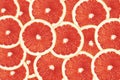 Bright red-orange background of round grapefruit lobules. Drawing for the surface of wallpaper, paper, advertising, decor