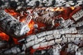 Bright red-orange coals of heat from a burnt tree close up, background