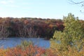 Vibrant Fall Colors on the Mississippi River in Minnesota Royalty Free Stock Photo