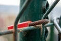 Red padlock on a green old exterior door Royalty Free Stock Photo